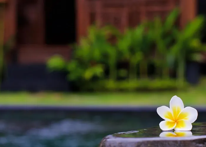 The Hidden Escapes Manggis- Lakeside With Pool, Sauna & Ice Bath 別荘 *