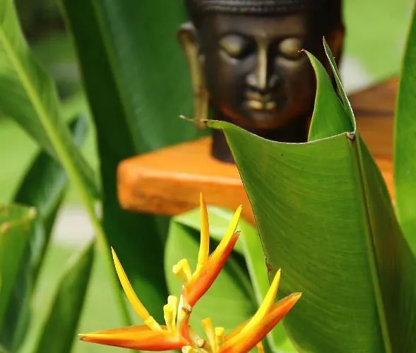別荘 The Hidden Escapes Manggis- Lakeside With Pool, Sauna & Ice Bath