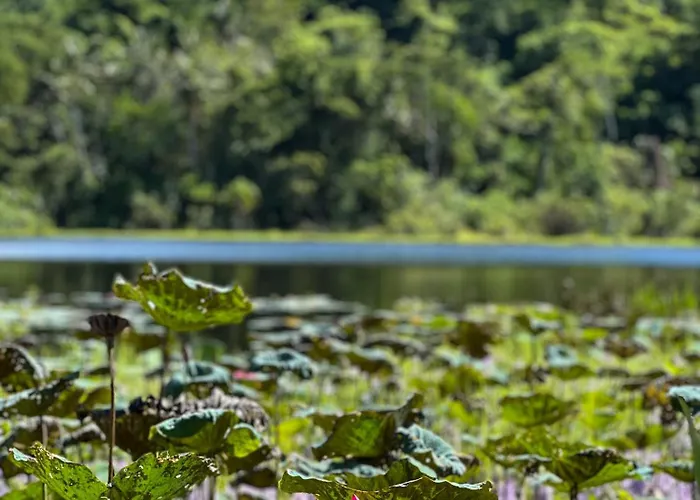 The Hidden Escapes Manggis- Lakeside With Pool, Sauna & Ice Bath